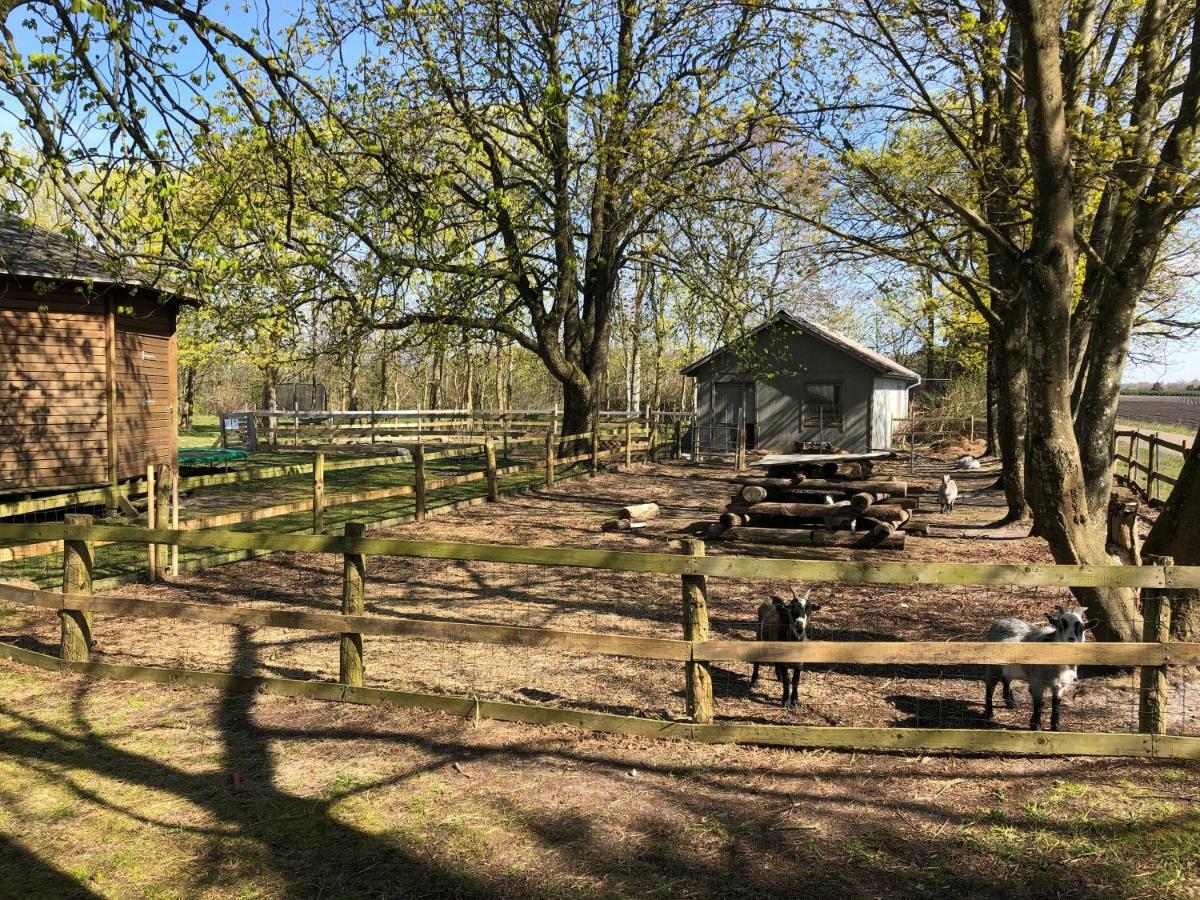 Hestkaer Family Rooms Summer Camp Krogager Exterior foto